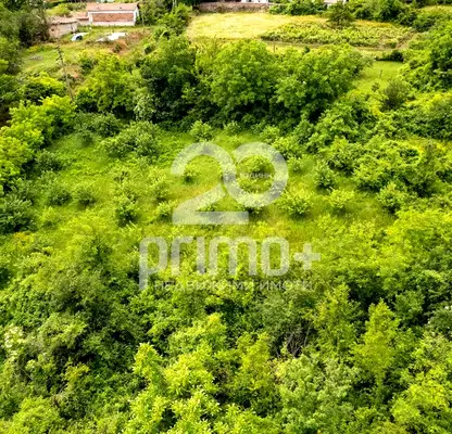 Photo 4 — Plot in Oblast Veliko Tyrnovo, Dragijevo