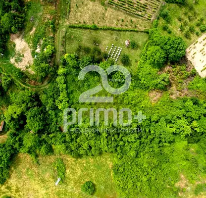 Photo 5 — Plot in Oblast Veliko Tyrnovo, Dragijevo