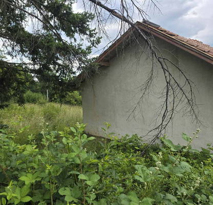 Photo 3 — Plot in област София, Drymsha