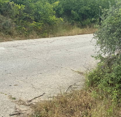 Photo 4 — Plot in Oblast Blagoevgrad, Dybnica