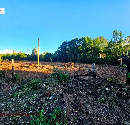 Photo 4 — Plot in Oblast Pernik, Egylnica