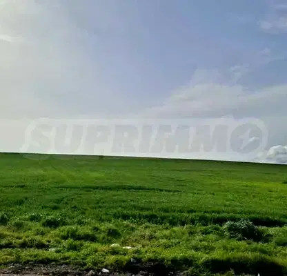 Photo 2 — Plot in Varna, Ezerovo