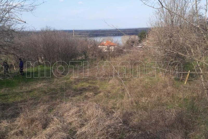 Plot in Oblast Vidin, с. Флорентин