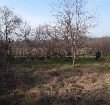 Photo 2 — Plot in Oblast Vidin, с. Флорентин