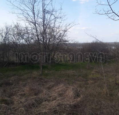 Photo 3 — Plot in Oblast Vidin, с. Флорентин