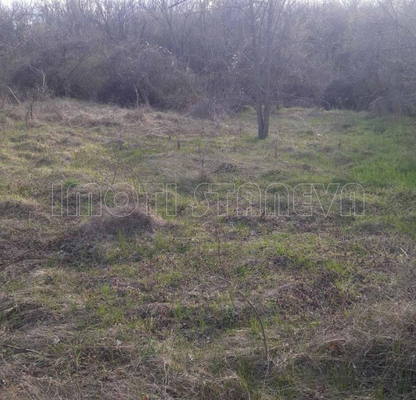 Photo 4 — Plot in Oblast Vidin, с. Флорентин