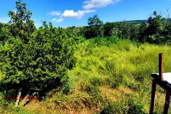 Plot in Oblast Varna, General Kiselovo