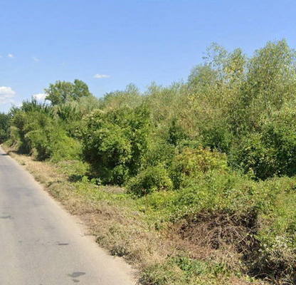 Photo 2 — Plot in German