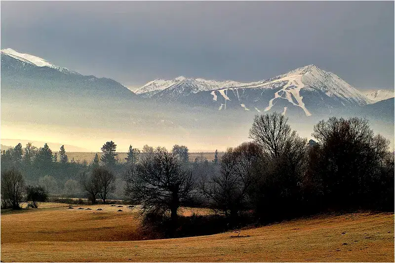 Plot in Oblast Blagoevgrad, Godlevo
