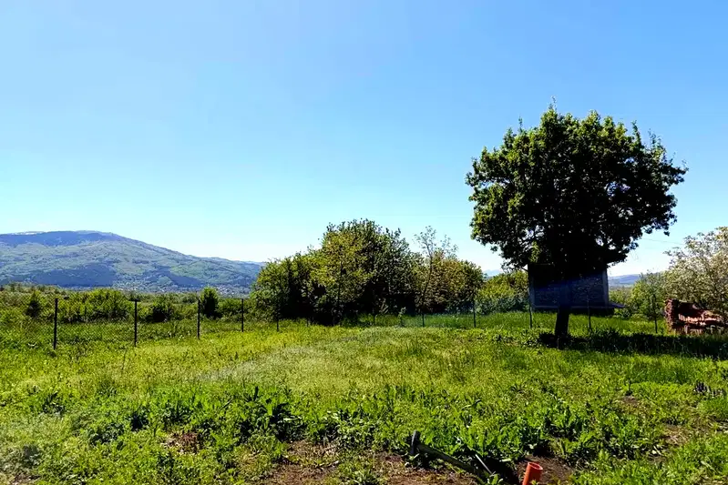 Plot in Oblast Pernik, Golemo Buchino
