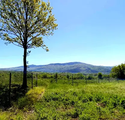 Photo 2 — Plot in Oblast Pernik, Golemo Buchino