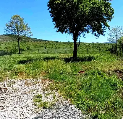 Photo 3 — Plot in Oblast Pernik, Golemo Buchino