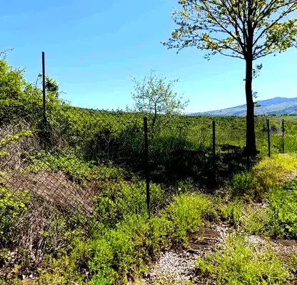 Photo 4 — Plot in Oblast Pernik, Golemo Buchino
