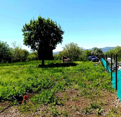 Photo 5 — Plot in Oblast Pernik, Golemo Buchino