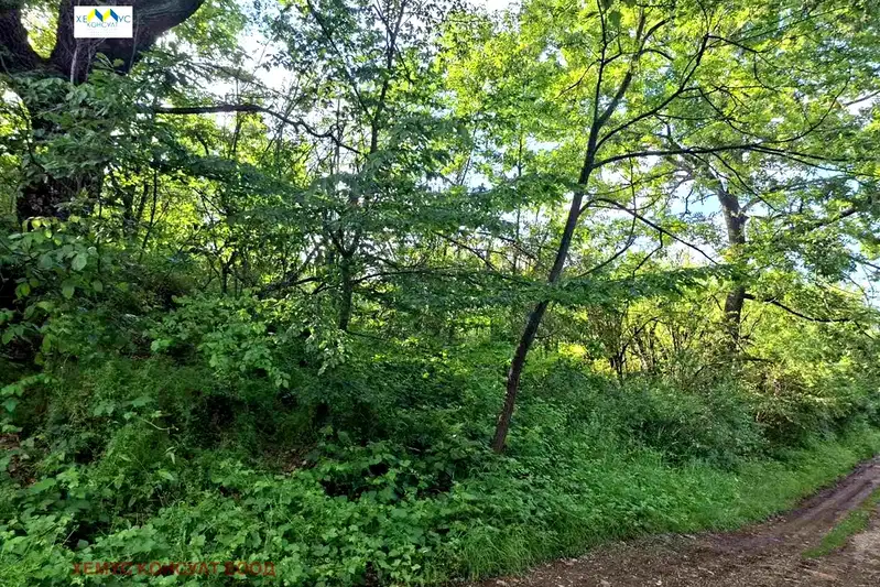 Plot in Oblast Lovech, Golyama Jelyazna