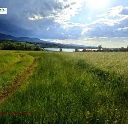 Photo 2 — Plot in Oblast Lovech, Golyama Jelyazna