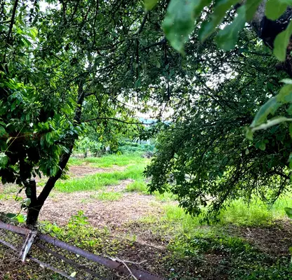 Снимка 4 — Парцел в Стара Загора, с. Горно Черковище