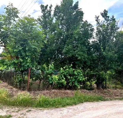 Снимка 5 — Парцел в Стара Загора, с. Горно Черковище