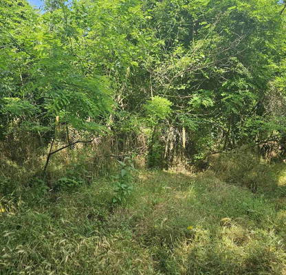 Photo 2 — Plot in Oblast Lovech, Gostinya
