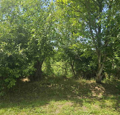 Photo 3 — Plot in Oblast Lovech, Gostinya