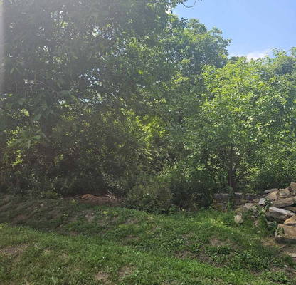 Photo 4 — Plot in Oblast Lovech, Gostinya