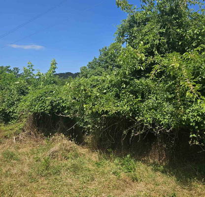 Photo 5 — Plot in Oblast Lovech, Gostinya