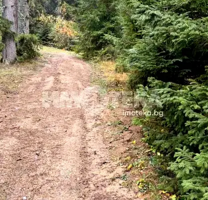 Photo 4 — Plot in област София, Govedarci