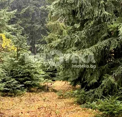 Photo 5 — Plot in област София, Govedarci