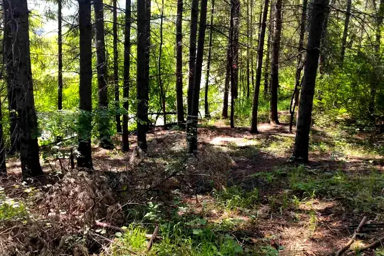 Парцел в Пловдив, с. Гълъбово