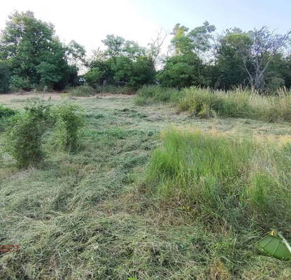 Photo 3 — Plot in Oblast Varna, Izgrev