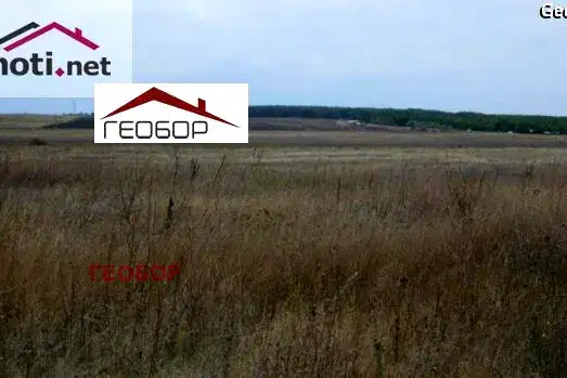 Plot in Oblast Varna, Izvorsko