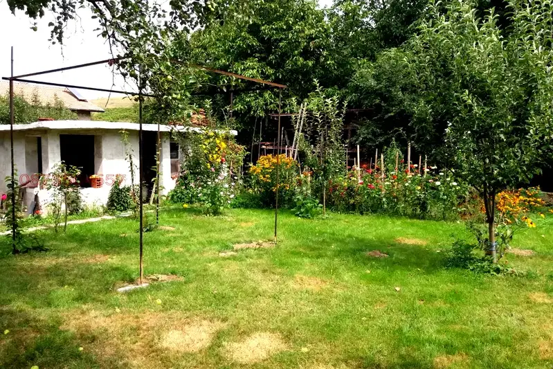 Plot in Oblast Kyustendil, Jilenci