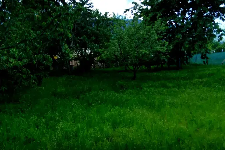 Plot in Oblast Kyustendil, Jilenci