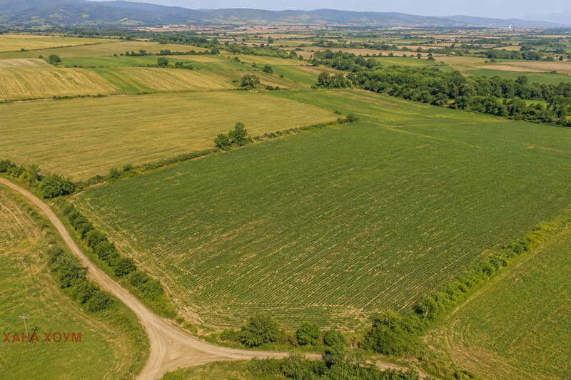 Plot in Oblast Lovech, Kaleica