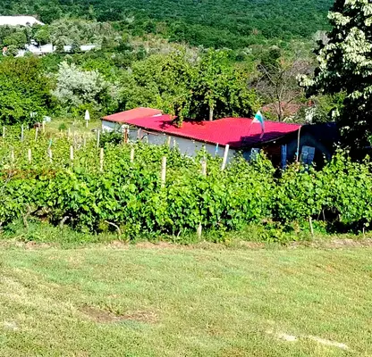 Photo 2 — Plot in Varna, Kalimanci