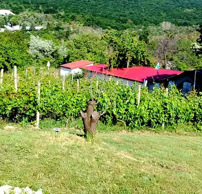 Photo 3 — Plot in Varna, Kalimanci