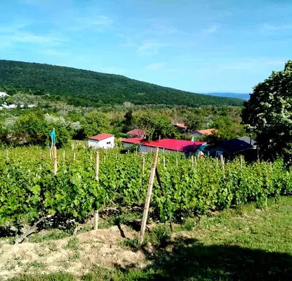 Photo 4 — Plot in Varna, Kalimanci