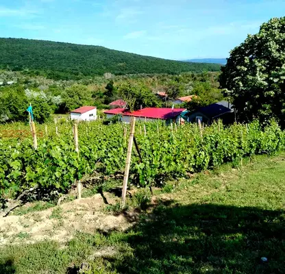 Photo 5 — Plot in Varna, Kalimanci