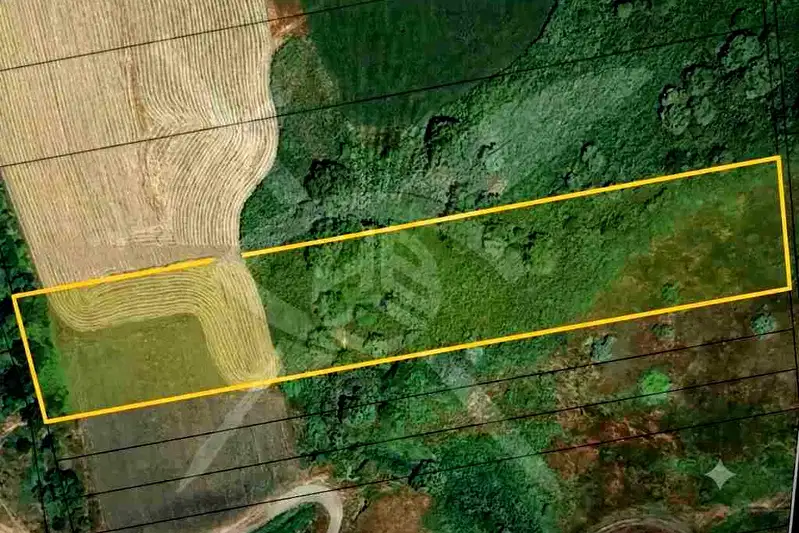 Plot in Oblast Burgas, Kamenar