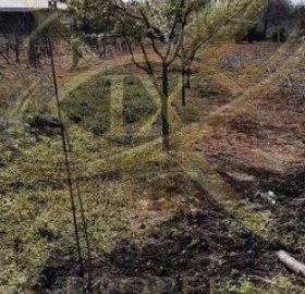 Photo 4 — Plot in Burgas, Kamenar