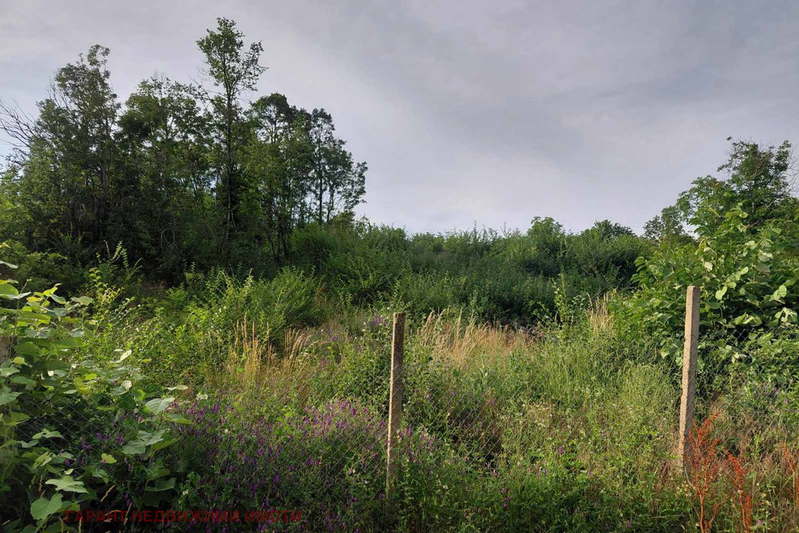 Plot in Gabrovo, Karaivanca