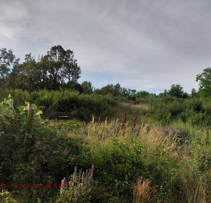 Photo 2 — Plot in Gabrovo, Karaivanca