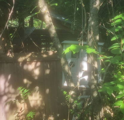 Photo 2 — Plot in Oblast Varna, Kichevo