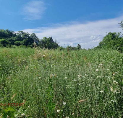 Photo 5 — Plot in Oblast Varna, Kichevo