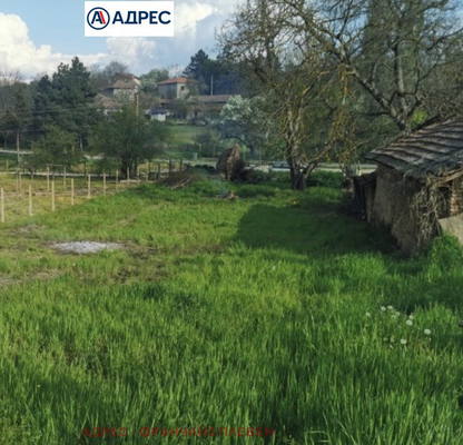 Photo 2 — Plot in Oblast Pleven, Koilovci