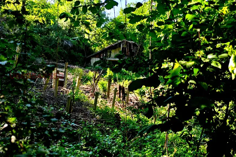 Plot in Kokalyane