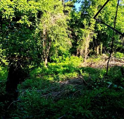 Photo 3 — Plot in Kokalyane