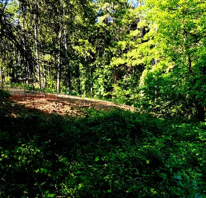 Photo 4 — Plot in Kokalyane