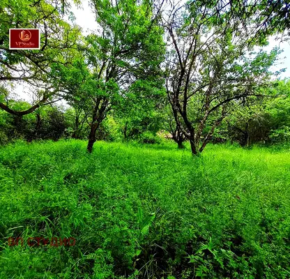 Photo 4 — Plot in Oblast Pernik, Kosharevo