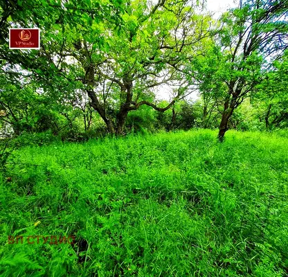 Photo 5 — Plot in Oblast Pernik, Kosharevo
